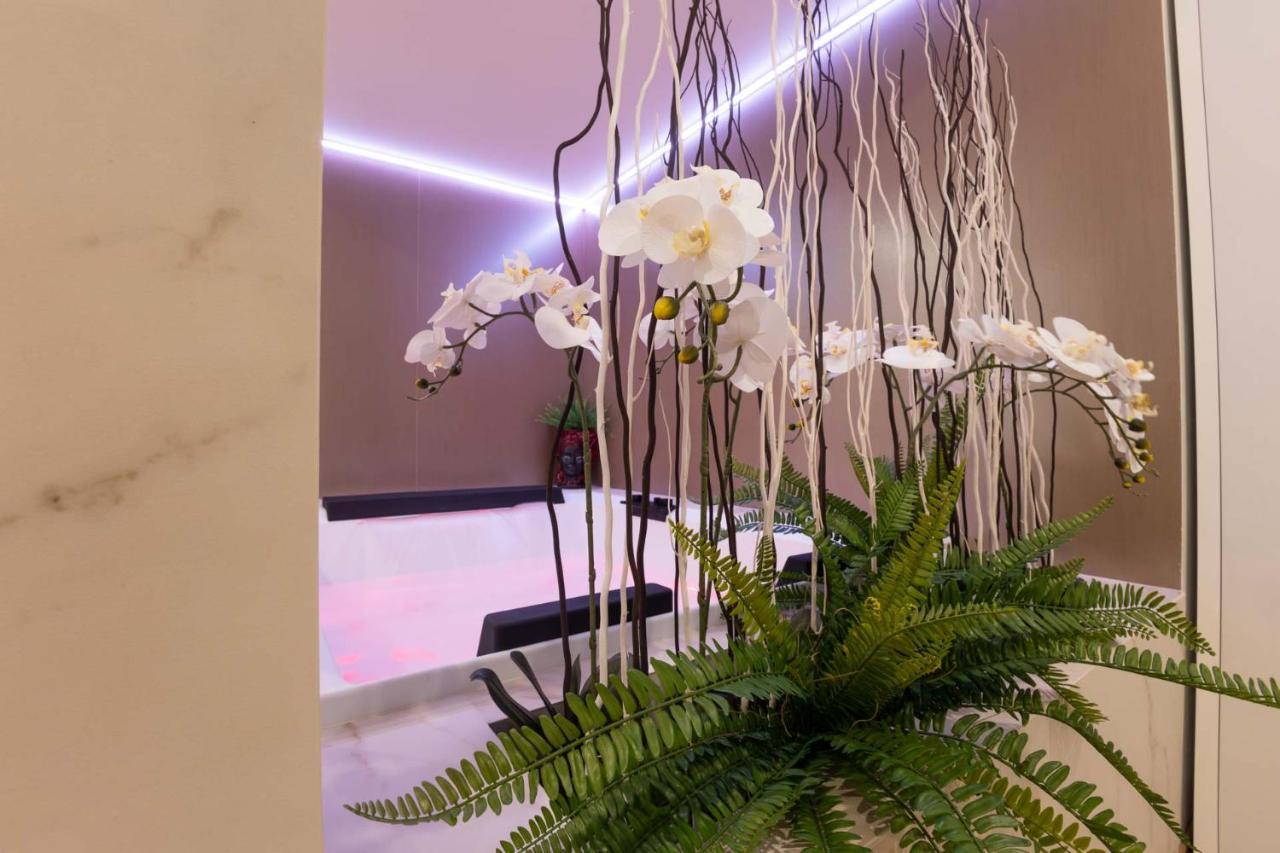 Hotel Popula - The Lifestyle