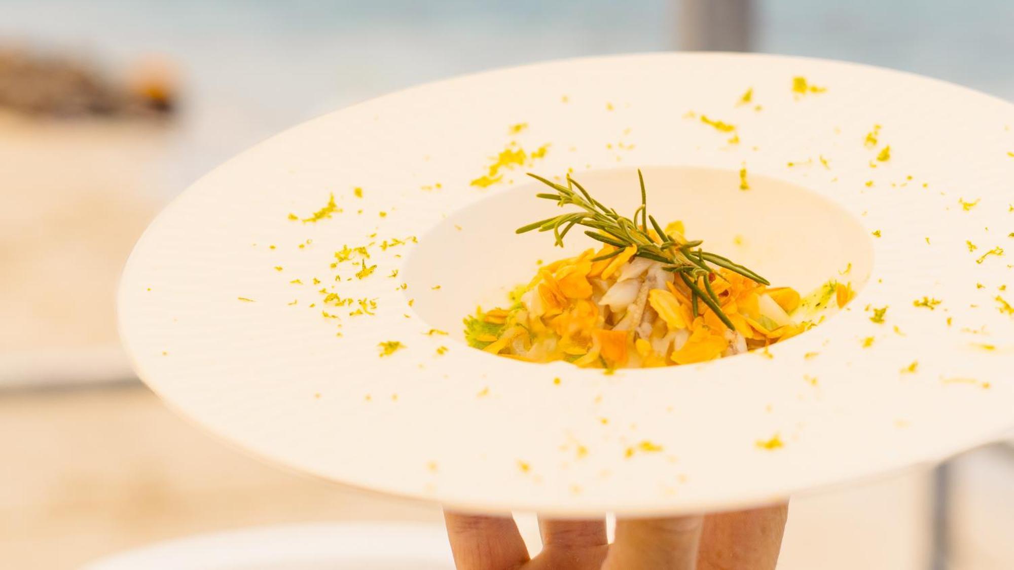 Hotel Popula - The Lifestyle 4*